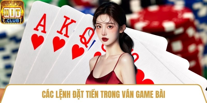 Các lệnh đặt tiền trong ván game bài