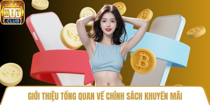 Giới thiệu tổng quan về chính sách khuyến mãi