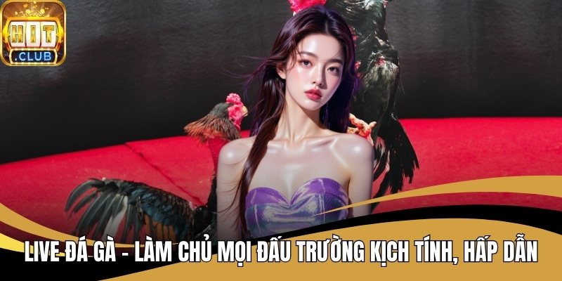 Live Đá Gà