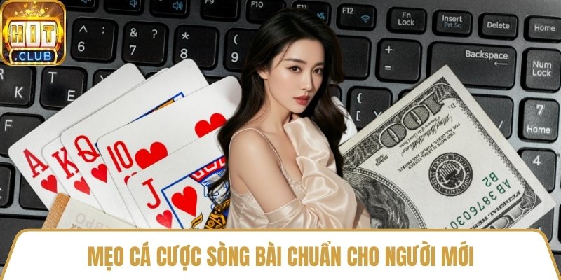 Mẹo cá cược sòng bài chuẩn cho người mới