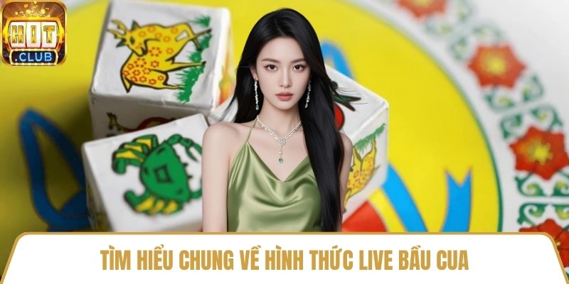 Tìm hiểu chung về hình thức live bầu cua